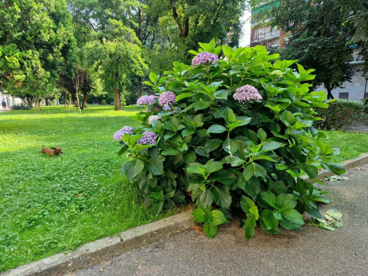 Giardino Sul Naviglio Daire Milano Dış mekan fotoğraf