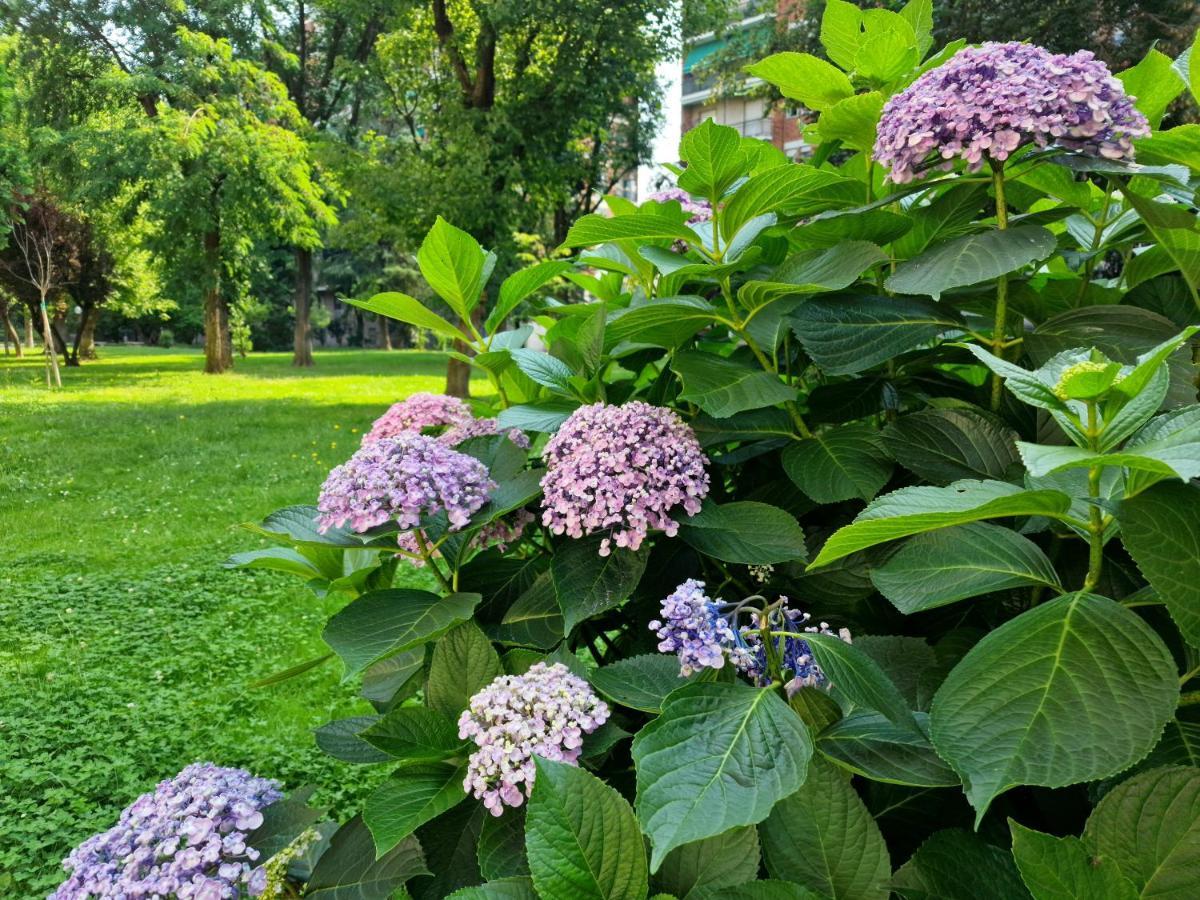 Giardino Sul Naviglio Daire Milano Dış mekan fotoğraf